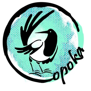 Работа детской телестудии "Сорока"
