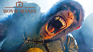 ТРЕЙЛЕРЫ ФИЛЬМОВ (2024)