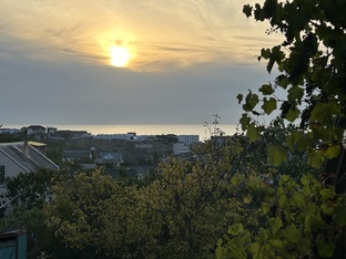 Справочник крымского дачника