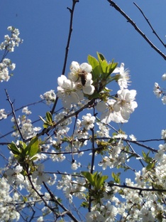 Стихи, которые молчат