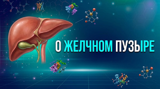 Про желчный пузырь