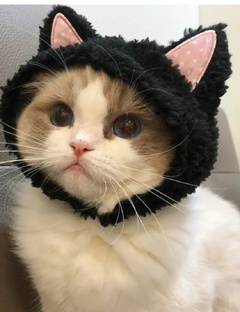 💗📑🧋Алеся звёздочка 🍒🌟☺️