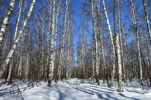 Походный сезон 2025 г.