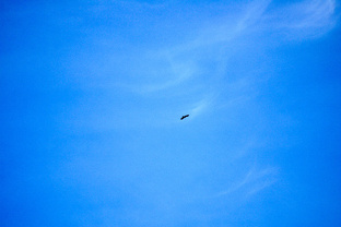 Вопросы и ответы