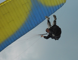 Александр Любицкий