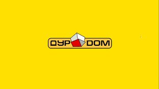 Дурдом