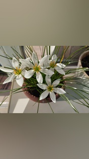 Путешествие