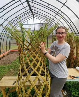 Живое плетение из ивы