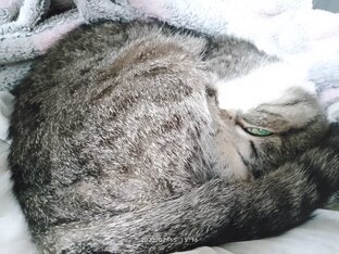 Полезная информация