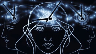 О биоритмах и теории о психологии сна.