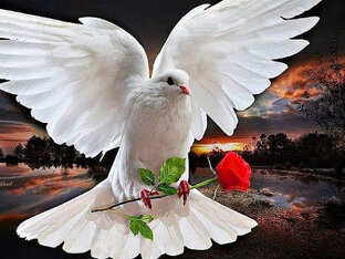 Видзеопоздравления