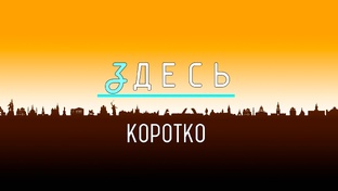КОРОТКИЕ ВИДЕО 