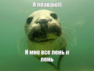 Душевные мемы