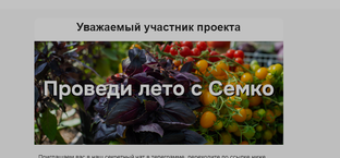 Лето с СЕМКО 2025