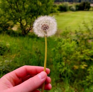 Мысли вслух