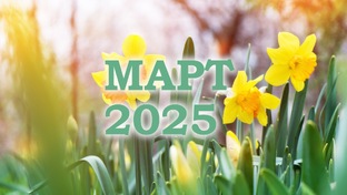 МАРТ 2025