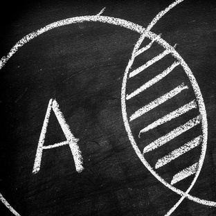 Цикл "Математический Атлант"