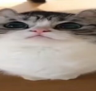 фильмы 