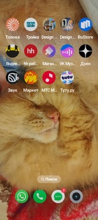 Наталья Королева