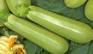 Кабачки