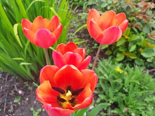 Личное