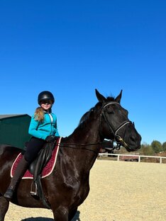 Лошади🐴🌱