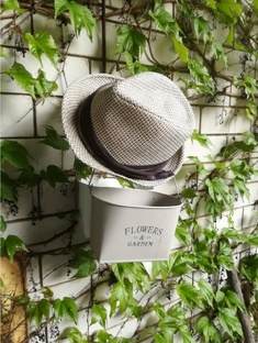 Подкоронка