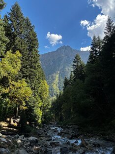 Кавказ и окрестности
