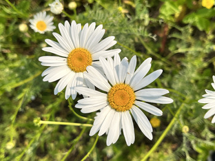 Фотопрогулки