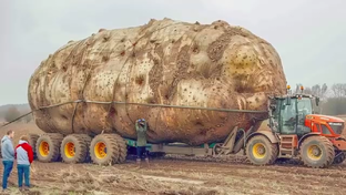 Необычные факты