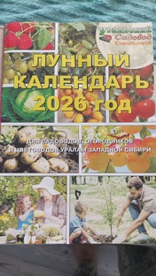 Огородные истории