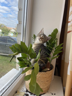 Полезно-интересно