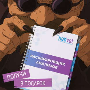 О дизайне, об интересном, о процессе