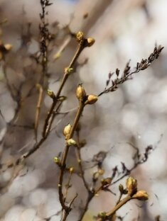 Природа- мать ☔🌡🌞