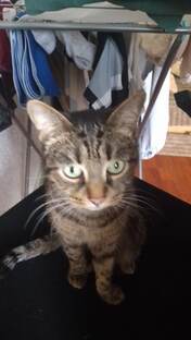 Герман, Миша, Ярик