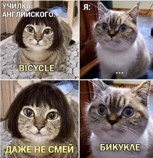 Английский для детей