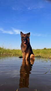 Наш путешественник, немец Бакстер