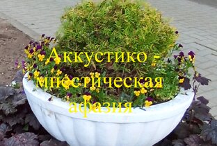 Аккустиког-мнестическая афазия. Видео уроки