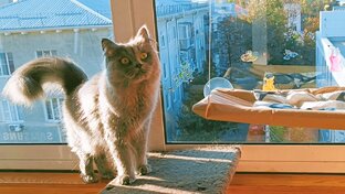 Будуар Маруси