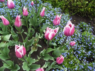 Партенит.Парк "Айвазовское". 