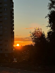 Взгляд в окна