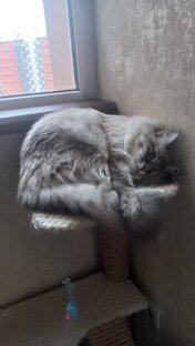 Популярные видео