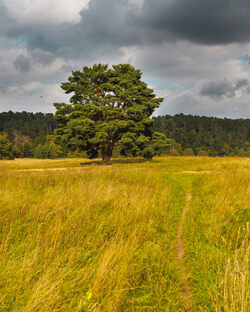 Места для посещения
