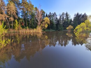 Рыбалка летом