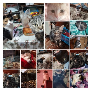 Спасать, чтобы жить