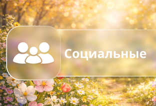 Социальная поддержка