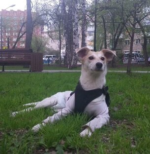 Помогаем ТОСЕ