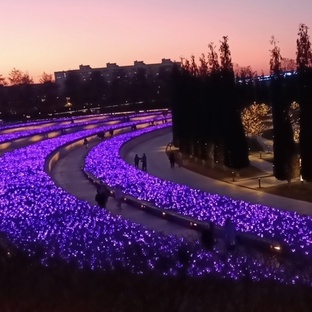Зимний Парк Галицкого 2025✨