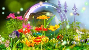 Уроки счастья.