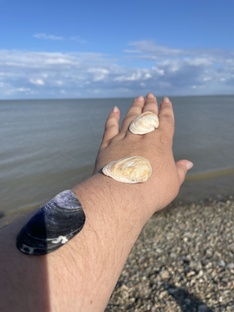 Отдых 2025 г. Ейск. Море. Проживаеие 